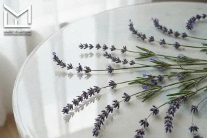 Lavender flavor