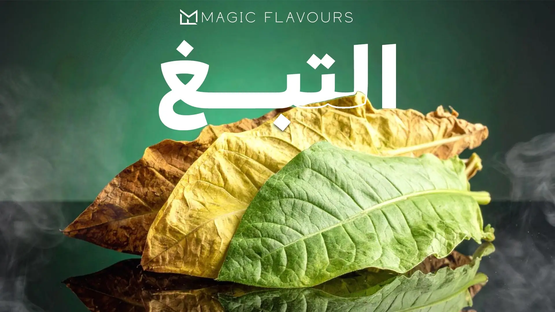 cover-Tobacco-arabic.webp