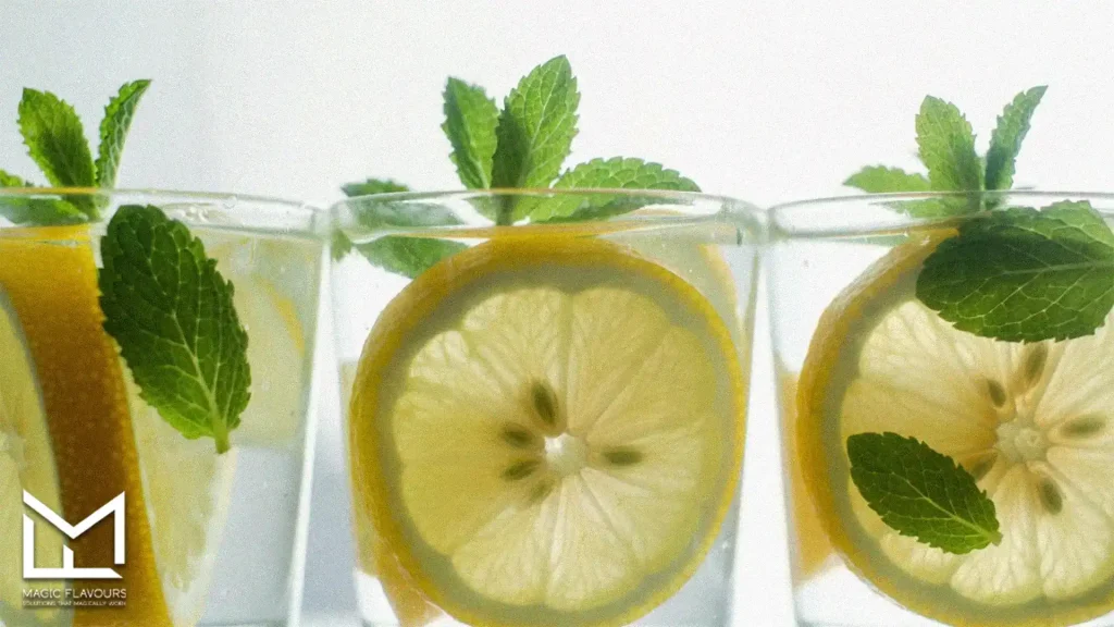 lemon slices and mint in the glass of water