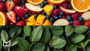 Fresh fruits and mint used to create a premium shisha flavor profile with balanced layers