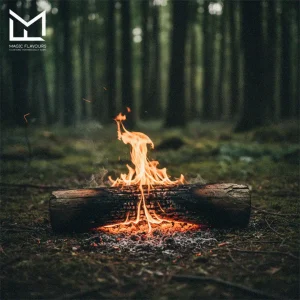 burning wood in the forest 