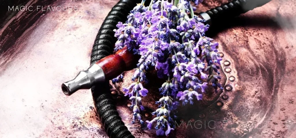 How floral notes add calm, balance, and sophistication in shisha blends