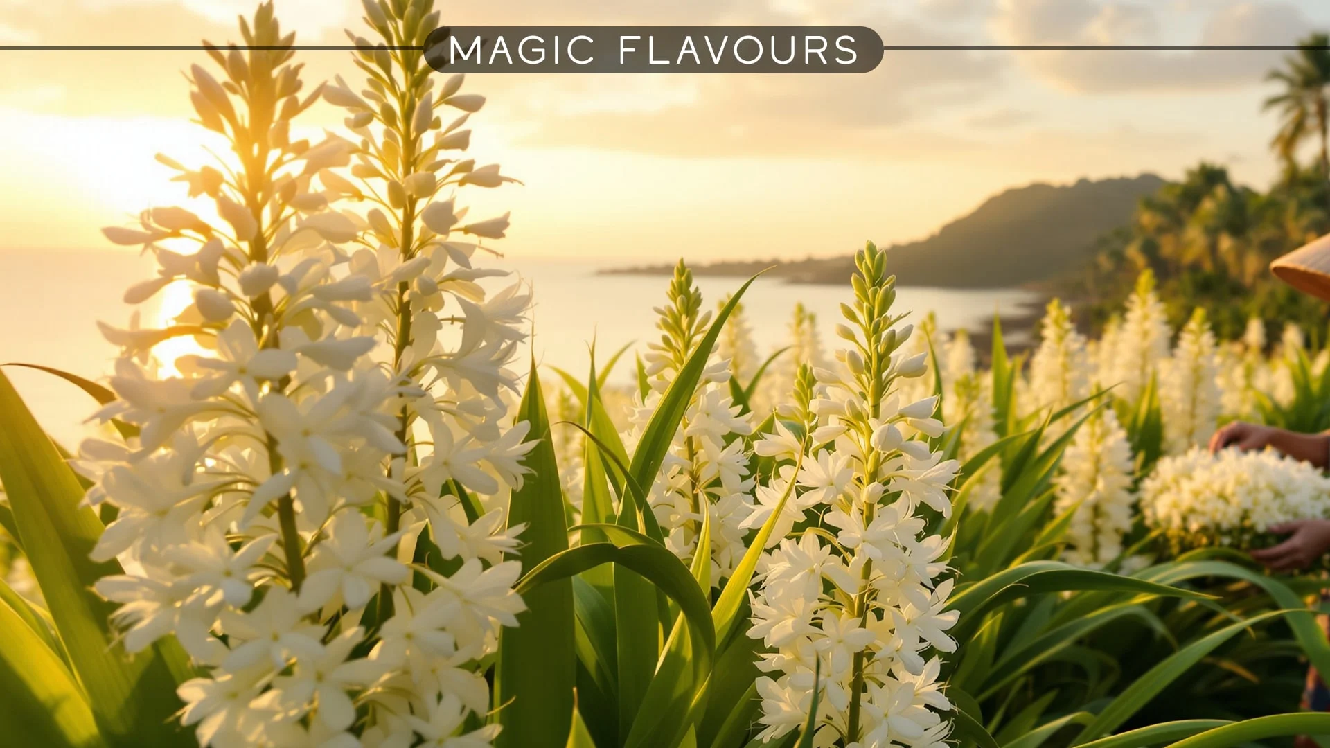 What is Kewra Essence? The Complete Guide