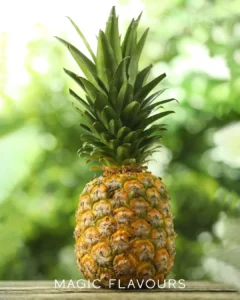 Symbolism and cultural meaning