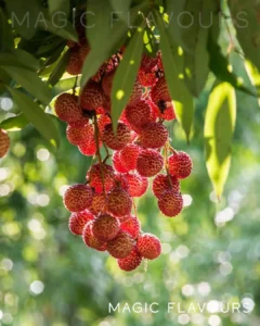 lychee flavor blends heritage with modern trends.