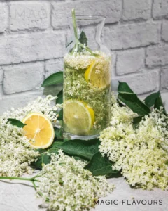 Modern Wellness Trends