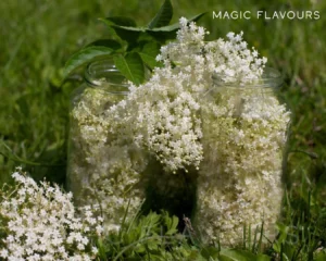 in Seasonal Celebrations and Traditions