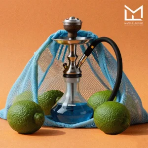 Fresh Citrus Notes: The Secret Behind Lime Shisha Flavour Popularity 