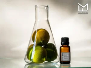 Magic Flavours: A Reliable Partner