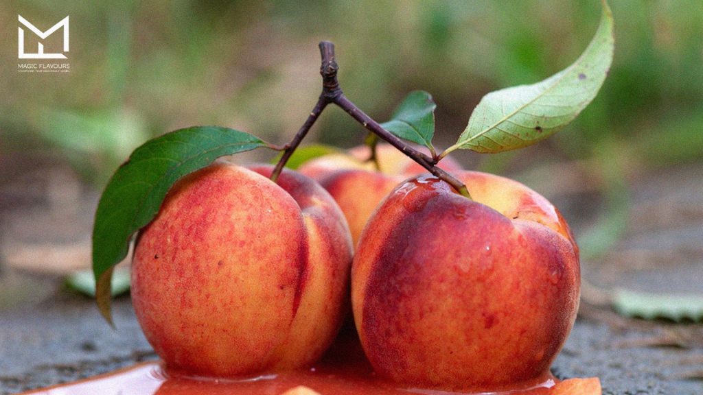 Best Flavor Categories to Pair