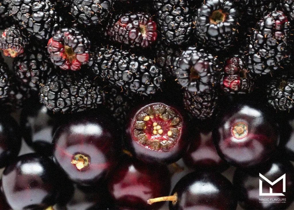 Blackcurrant vs Cranberry 