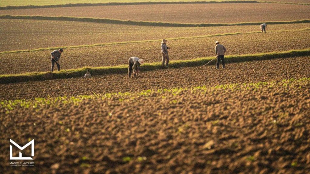 Cost differences between natural and synthetic flavors