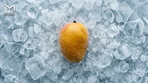Mango flavor surrounded by ice illustrating cooling intensity in shisha flavors